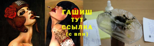 дурь Бородино