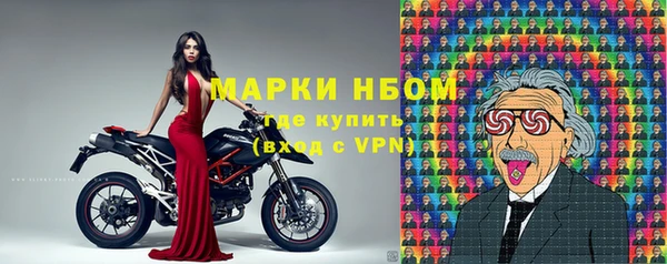 мдпв Богородицк