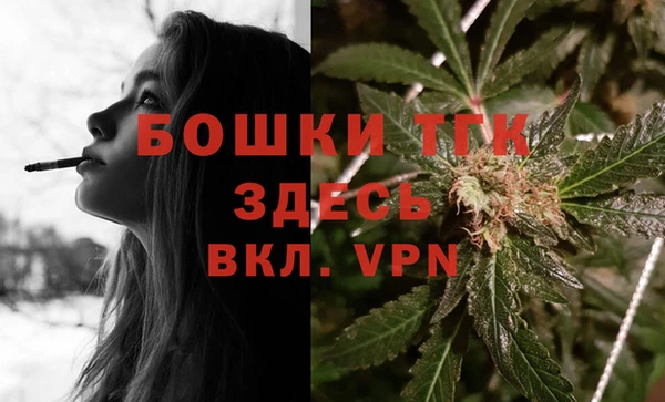 мдпв Богородицк