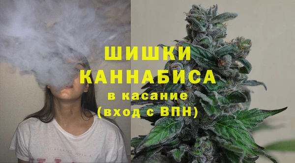 мдпв Богородицк